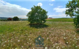 Terrain constructible 7210 M2 – NR pièces – NR chambres – 7210 m²