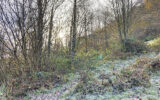 Terrain à vendre à Ustou