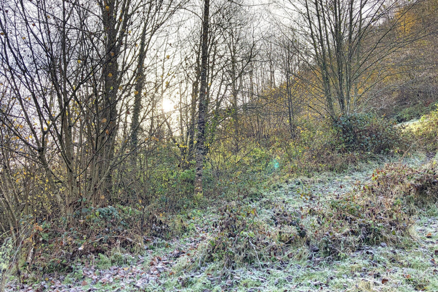 Terrain à vendre à Ustou