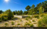 Terrain à vendre à Baudinard-sur-verdon