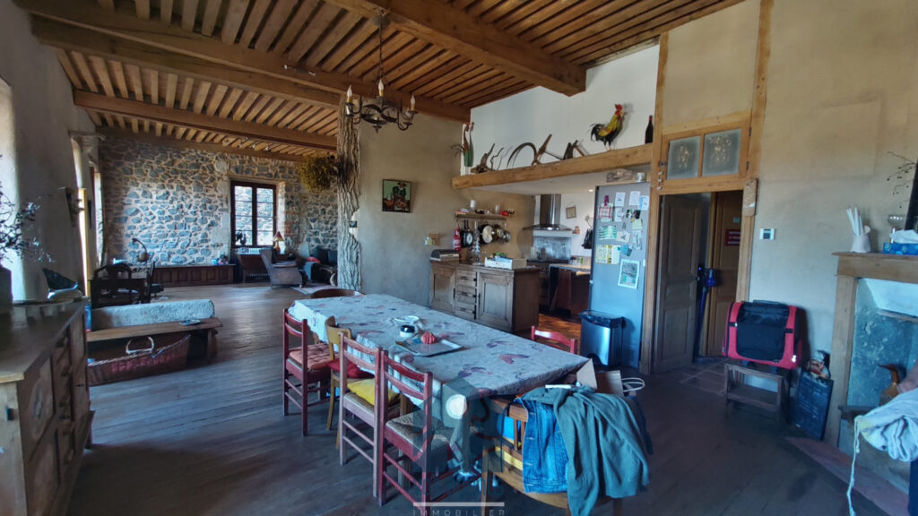 Maison 300 m 2 habitable avec cour, garage,caves, atelier et – 7 pièces – 5 chambres – 300 m²