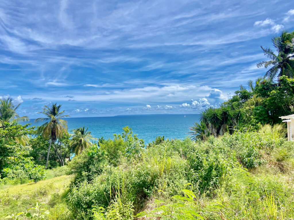TERRAIN EN 1ÈRE LIGNE – VUE MER – QUARTIER PRISÉ – NR pièces – NR chambres – 2170 m²