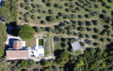 Parcelle avec nombreux oliviers. – 5 pièces – 4 chambres – 174 m²