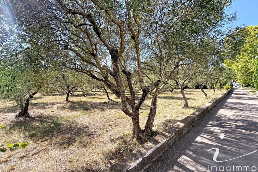 Appartement à vendre à Montpellier — Vue nature — photo 10