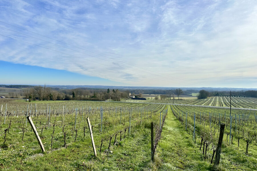 Terrain à vendre à Colombier