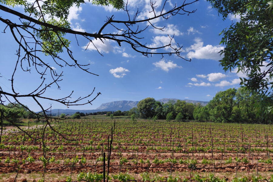 Maison à vendre à Pourrières — Vue vignes — photo 1