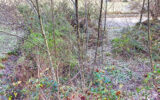 Terrain à vendre à Ustou