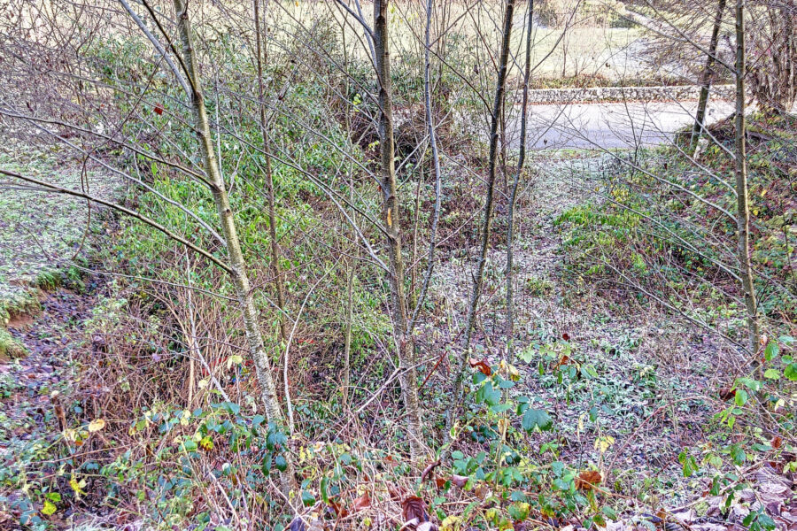 Terrain à vendre à Ustou