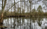Terrain à vendre à Joigny
