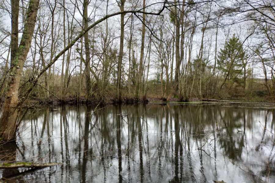Terrain à vendre à Joigny