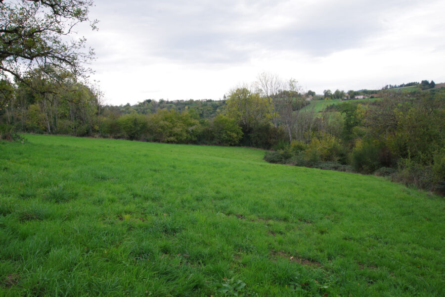 Terrain à vendre à Sauviat