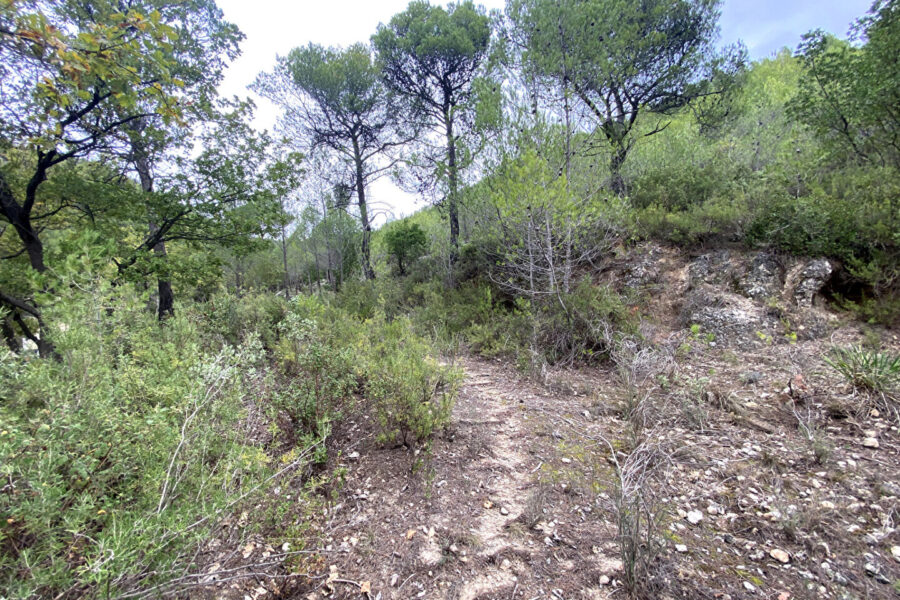 Terrain à vendre à La roquebrussanne