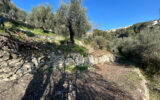 Terrain à vendre à Nice