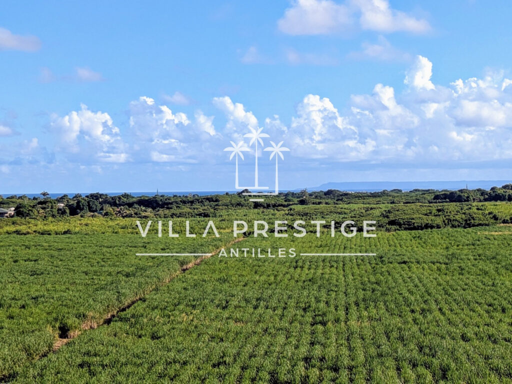 PROPRIÉTÉ D&rsquo;EXCEPTION VILLA T6 ET 2 LOGEMENTS T2 – VUE DÉGAG – 10 pièces – 7 chambres – 257.37 m²