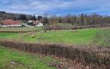 Terrain à vendre à Tronget