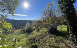 Terrain à vendre à Corsavy — Vue nature — photo 6