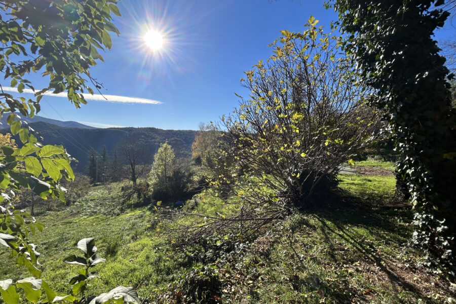 Terrain à vendre à Corsavy — Vue nature — photo 6
