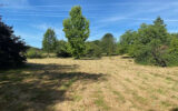 Terrain à vendre à Bourg-le-comte