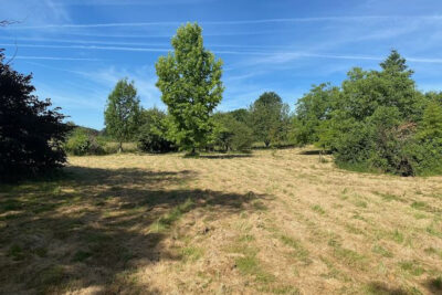 Terrain à vendre à Bourg-le-comte