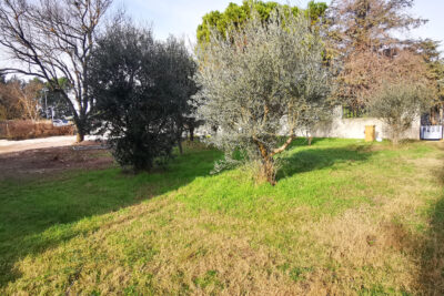 Terrain à vendre à Velleron