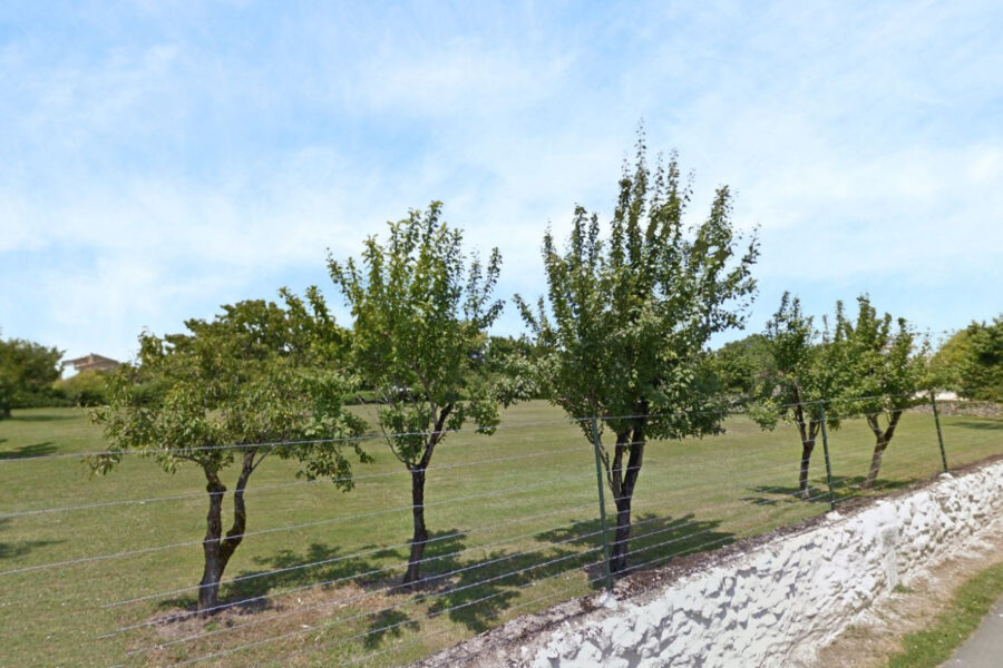 Terrain à vendre à Gensac-la-pallue