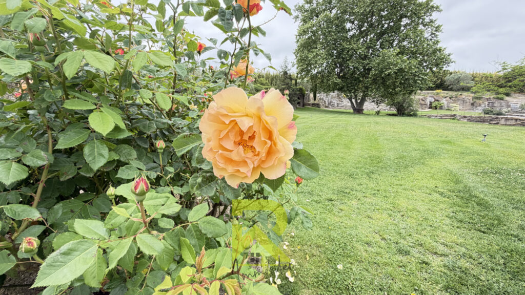 Propriété d&rsquo;exception   Jardin remarquable sur 12 hectares   – 6 pièces – 7 chambres – 206 m²