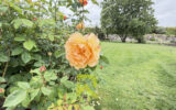 Propriété d&rsquo;exception   Jardin remarquable sur 12 hectares   – 6 pièces – 7 chambres – 206 m²
