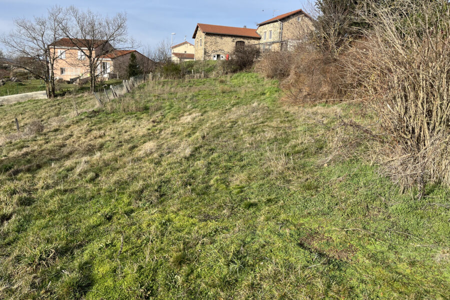 Terrain à vendre à Saint-maurice-de-lignon