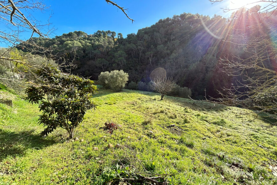 Terrain à vendre à Drap