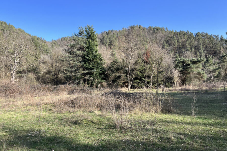 Terrain à vendre à Retournac