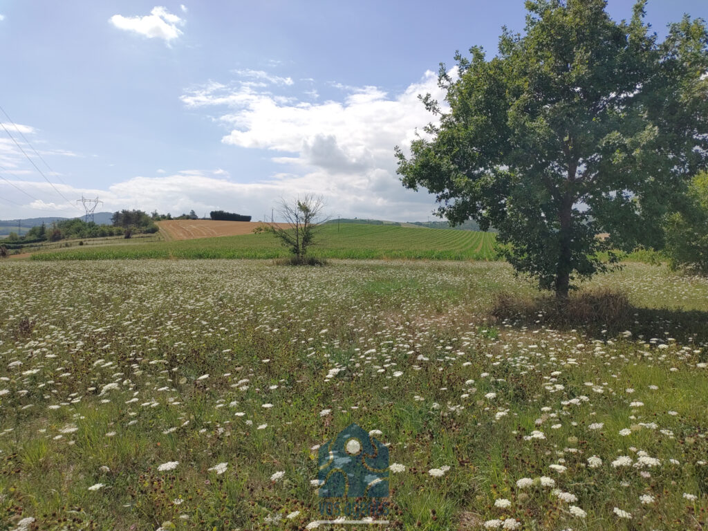 Terrain constructible 7210 M2 – NR pièces – NR chambres – 7210 m²