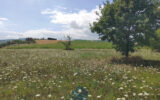 Terrain constructible 7210 M2 – NR pièces – NR chambres – 7210 m²