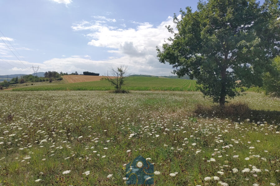 Terrain à vendre à Issoire