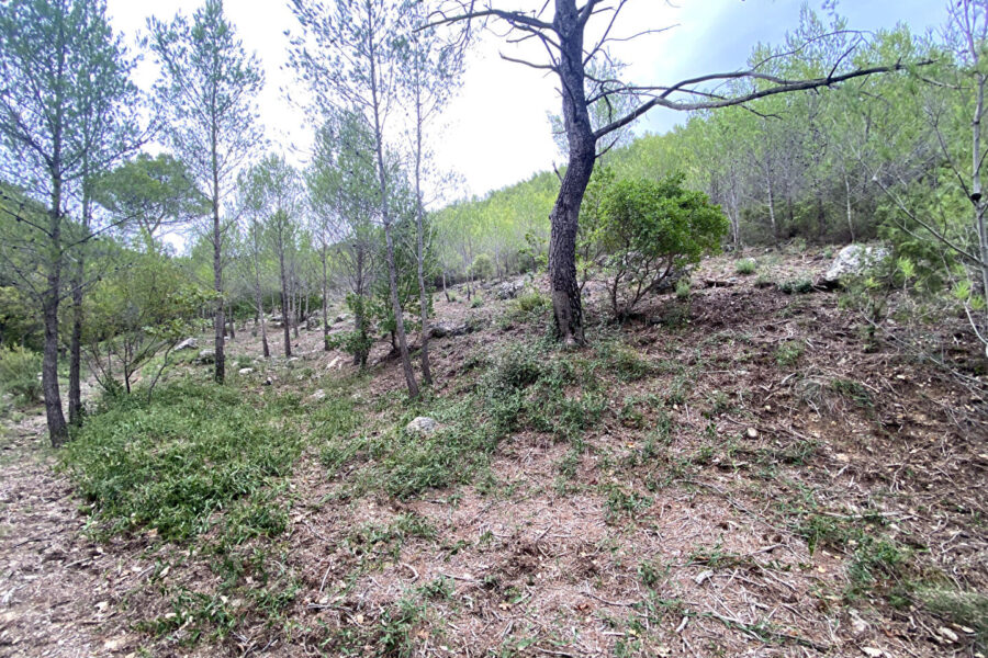 Terrain à vendre à La roquebrussanne