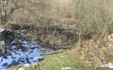 Terrain à vendre à Ustou