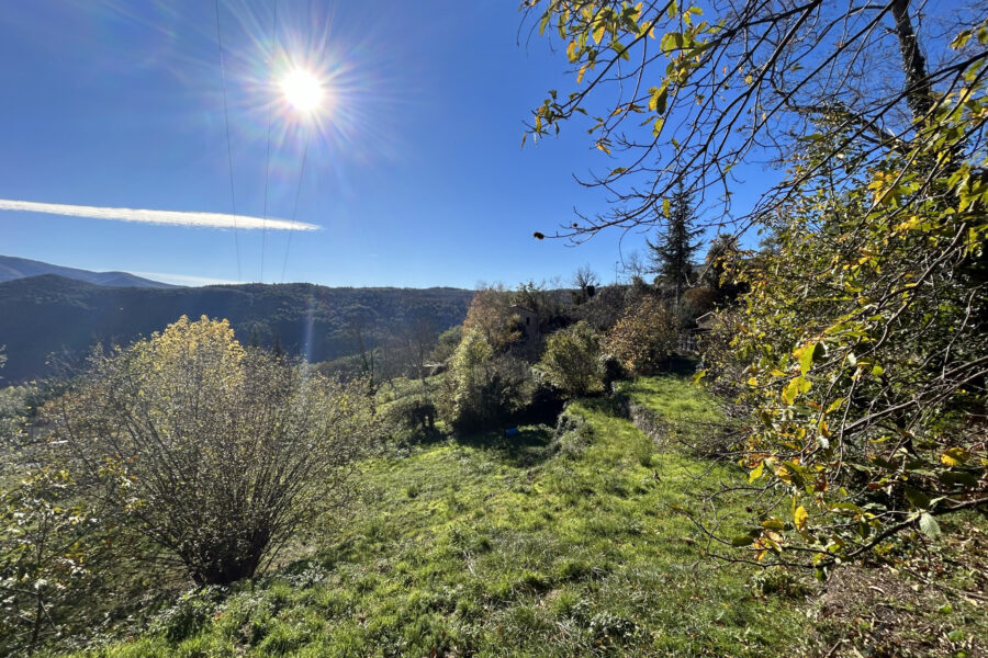 Terrain à vendre à Corsavy — Vue nature — photo 2