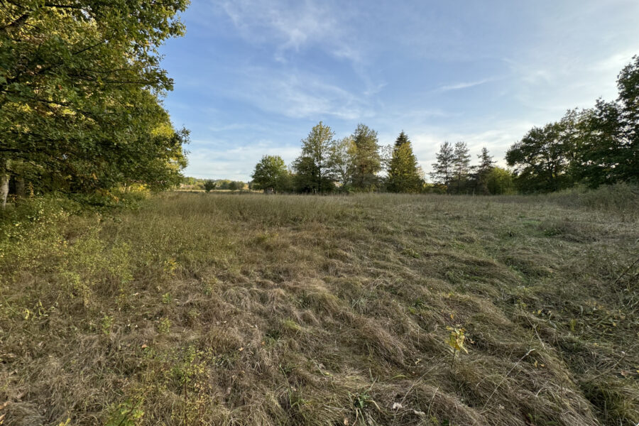 Terrain à vendre à Sugères