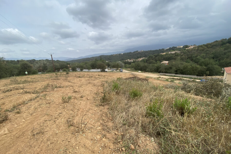 Terrain à vendre à Vivès