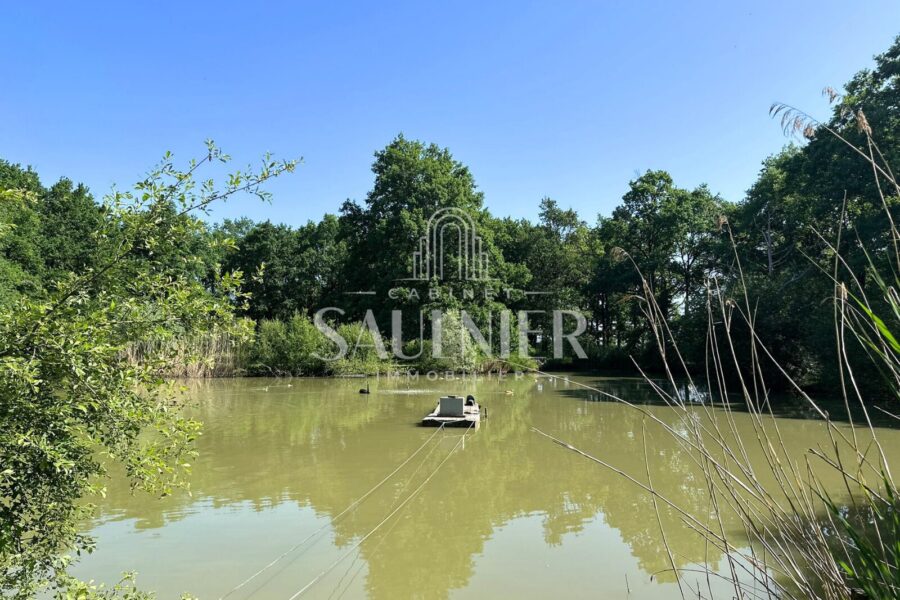 Maison à vendre à Azay-sur-cher — Vue nature — photo 20
