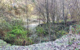 Terrain à vendre à Ustou