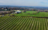 Terrain à vendre à Colombier