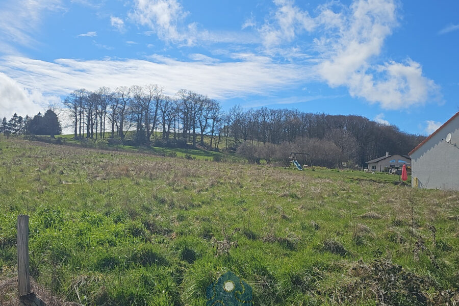 Terrain à vendre à Vitrac