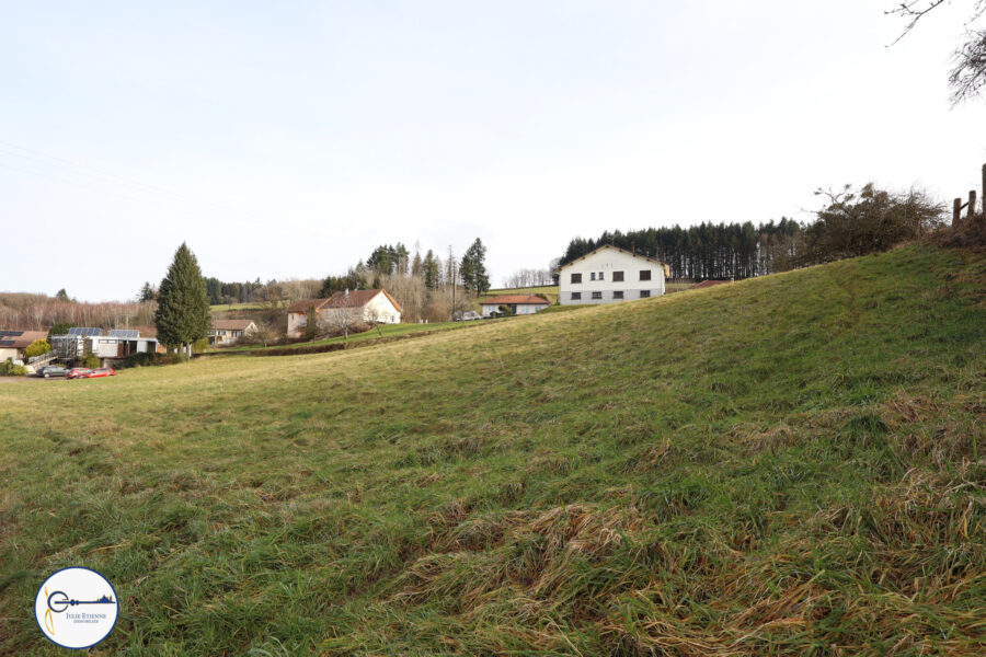 Terrain à vendre à Xertigny