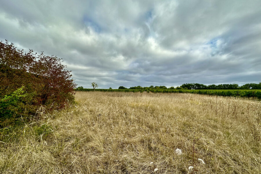 Terrain à vendre à Bouniagues
