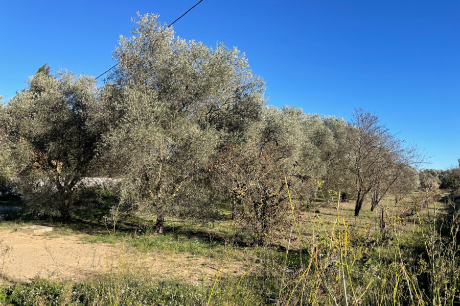 Terrain à vendre à Roquebrune-sur-argens