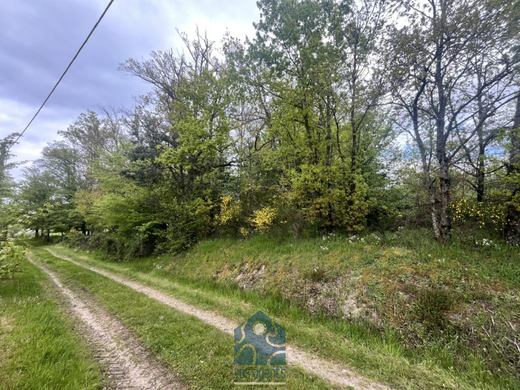 Terrain 2790m2  – NR pièces – NR chambres – 2790 m²