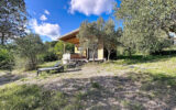 Parcelle avec nombreux oliviers. – 5 pièces – 4 chambres – 174 m²
