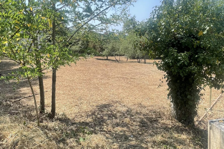 Terrain à vendre à Le fousseret