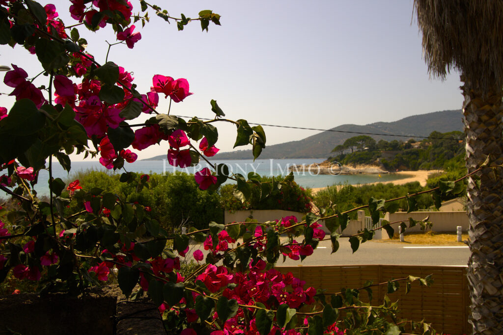 Très belle vue mer, plage à 30 mètres. – 4 pièces – 2 chambres – 80 m²