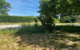Terrain à vendre à Bourg-le-comte